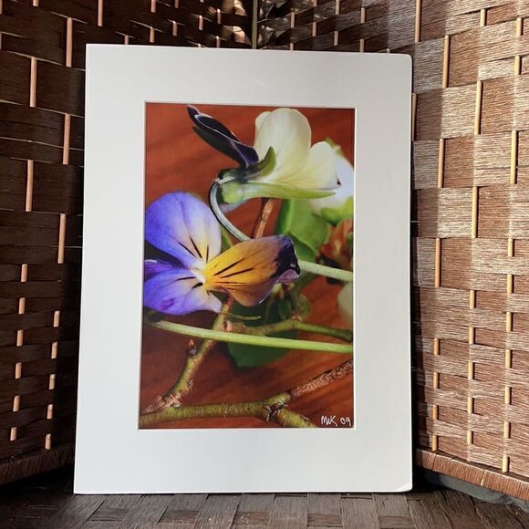 Bright & Beautiful Orchid Photograph Matted Print MIK 2009 - Picture 5 of 12